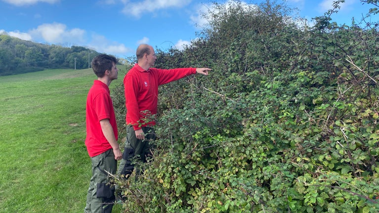 Two rangers in red sweatshirts looking at an area of scrub.